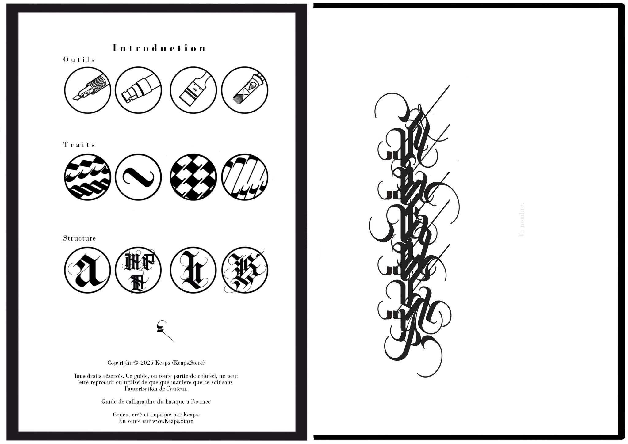 Le Manuel de la calligraphie (PDF-French)