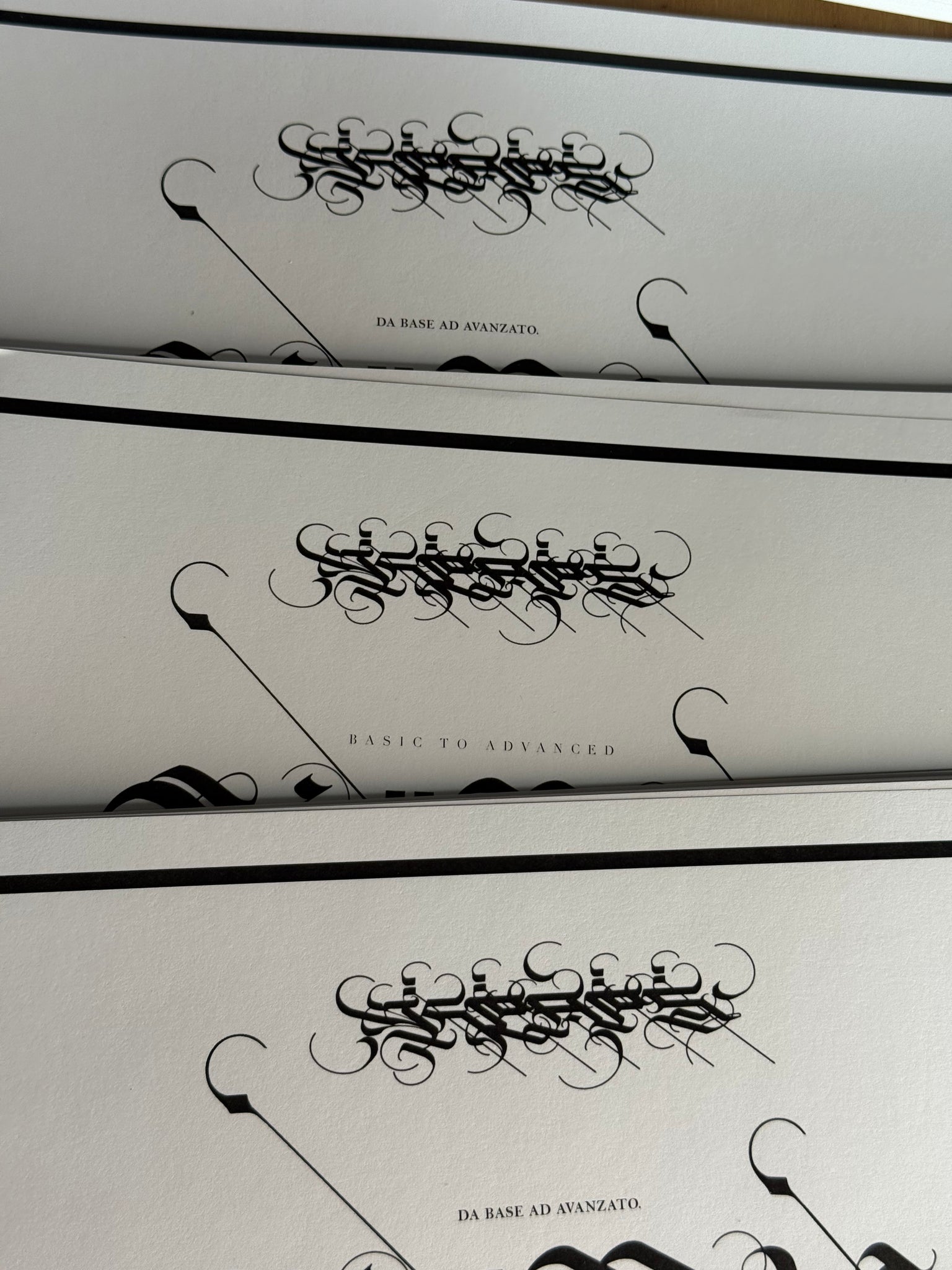 PHYSICAL BOOK(Basic to Advanced Calligraphy Book)English,Español,Italiano